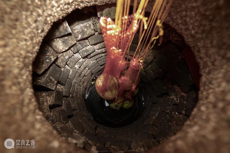 展讯｜宋冬、尹秀珍、王光乐、刘建华参加广东南海大地艺术节2024 崇真艺客