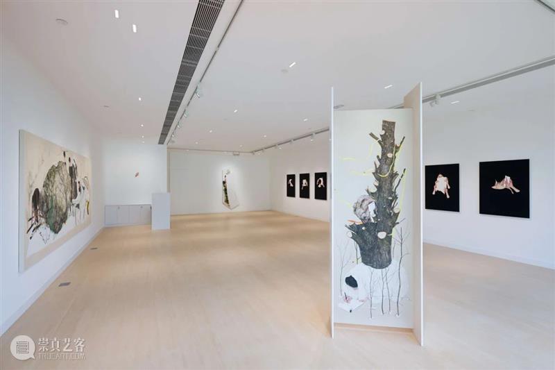艺术家｜李珍珠 LEE Jinju 个展：無著 No Ground | Yuz Flow 余德耀美术馆项目空间 崇真艺客