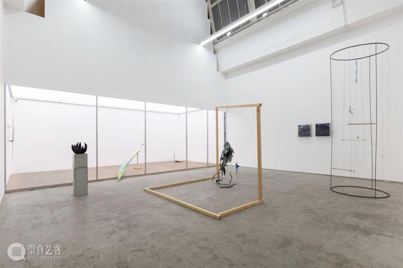 CLC Gallery Venture｜范西 2024艺术家动态回顾 崇真艺客