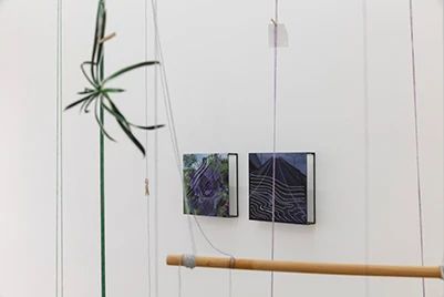 CLC Gallery Venture｜范西 2024艺术家动态回顾 崇真艺客