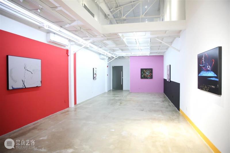 CLC Gallery Venture｜范西 2024艺术家动态回顾 崇真艺客