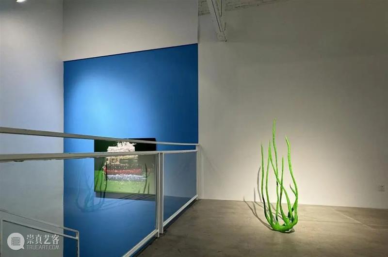 CLC Gallery Venture｜范西 2024艺术家动态回顾 崇真艺客