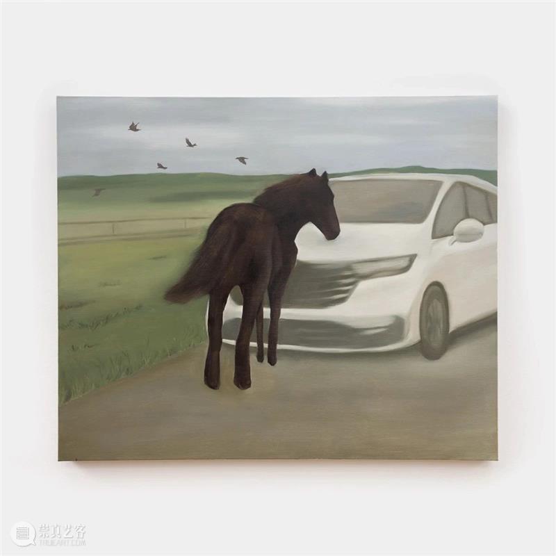 刘佳林 Lyn Liu|H-Dropping 崇真艺客