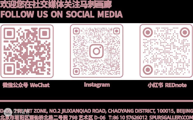 马刺画廊二十周年 崇真艺客