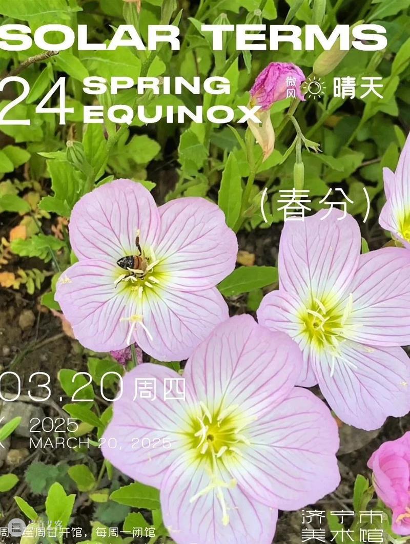 今日｜春分 崇真艺客