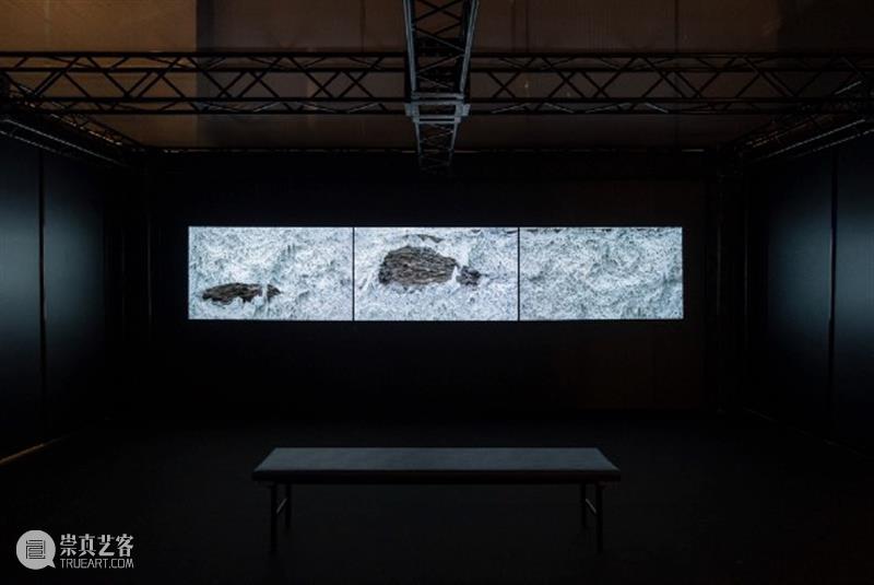 HOW 展览|跟随策展人走进「后窗·寓言」展览倒计时6天 崇真艺客