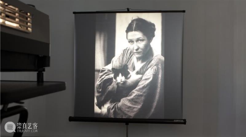 HOW 展览|跟随策展人走进「后窗·寓言」展览倒计时6天 崇真艺客