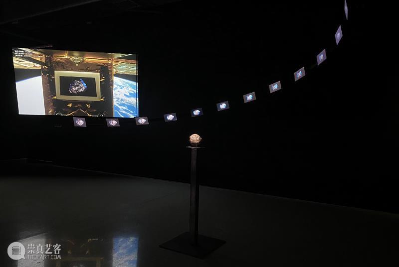 HOW 展览|跟随策展人走进「后窗·寓言」展览倒计时6天 崇真艺客
