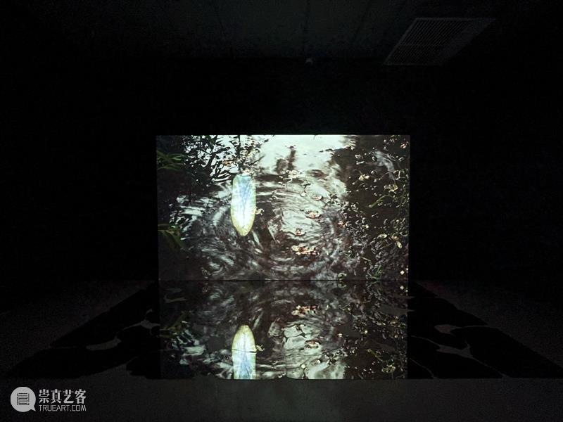 HOW 展览|跟随策展人走进「后窗·寓言」展览倒计时6天 崇真艺客