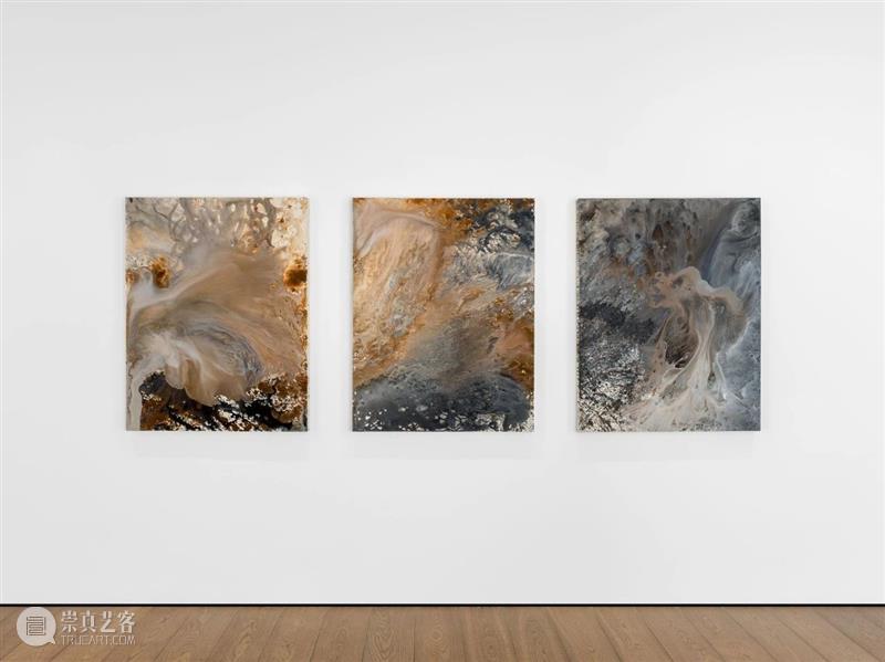 展览现场｜娄正纲（Lou Zhenggang）「自然」（Shizen）@ 阿尔敏·莱希 - 伦敦  Almine&nbsp;Rech 崇真艺客