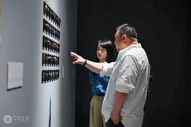 叁柒贰叁美术馆新展“以土为源” 构建土壤、艺术与生态的对话关系 热点聚焦  叁柒贰叁美术馆 以土为源——当代视觉艺术生态作品展（上海站） 浙江传媒学院 崇真艺客