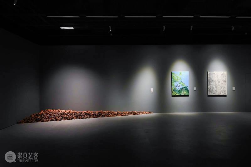 叁柒贰叁美术馆新展“以土为源” 构建土壤、艺术与生态的对话关系 热点聚焦  叁柒贰叁美术馆 以土为源——当代视觉艺术生态作品展（上海站） 浙江传媒学院 崇真艺客