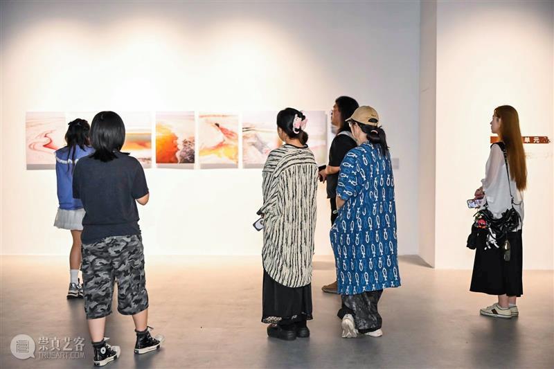叁柒贰叁美术馆新展“以土为源” 构建土壤、艺术与生态的对话关系 热点聚焦  叁柒贰叁美术馆 以土为源——当代视觉艺术生态作品展（上海站） 浙江传媒学院 崇真艺客