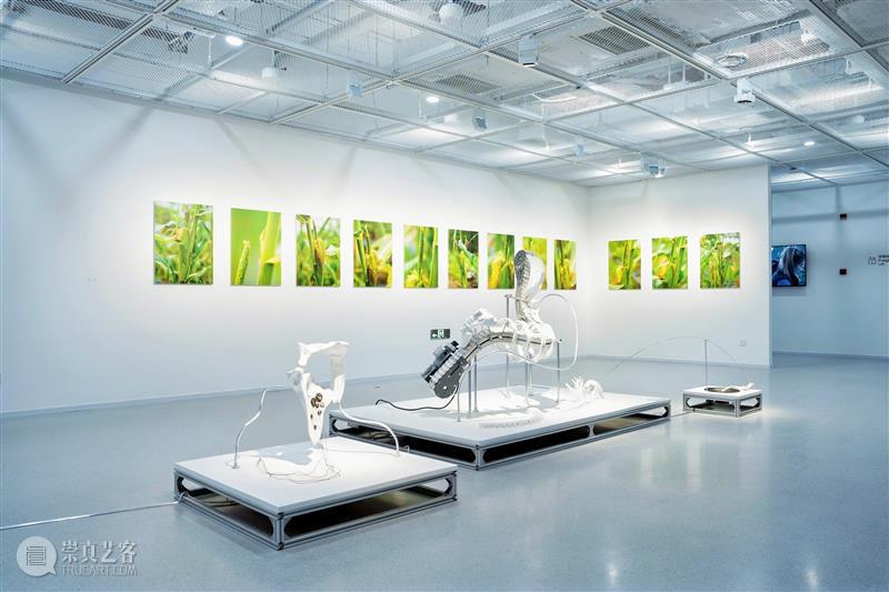 复旦大学艺术馆首展“日月复光华” 中的科技叙事与人文回响 展览 中国 上海市复旦大学艺术研究院 复旦大学艺术馆  崇真艺客