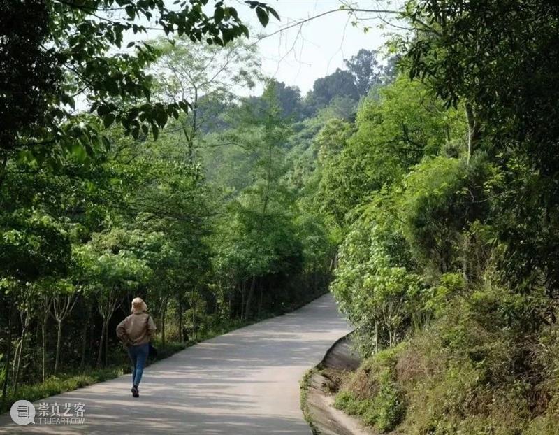 端午看展+龙舟竞渡|夏日小长假攻略提前剧透! 崇真艺客