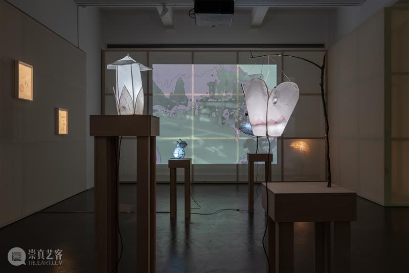 武雨濛：来自未归还的灵灯 展览 中国 上海市上海外滩美术馆 上海外滩美术馆  武雨濛  崇真艺客