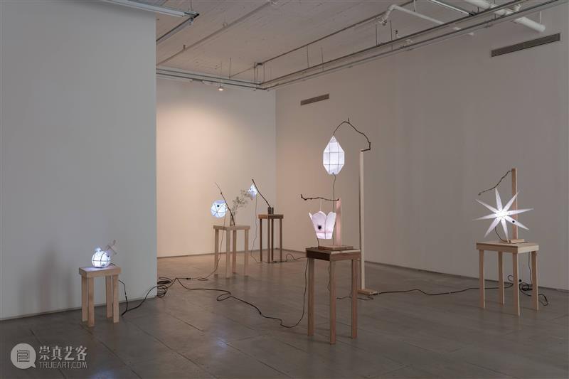 武雨濛：来自未归还的灵灯 展览 中国 上海市上海外滩美术馆 上海外滩美术馆  武雨濛  崇真艺客
