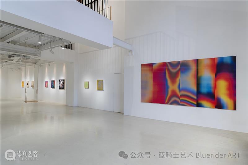 蓝骑士公告｜端午假期各馆开闭馆时间 崇真艺客