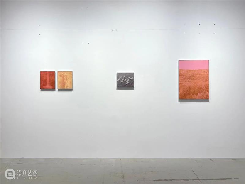 新氧艺O2art|艺博会 | 2025 ART021 BEIJING 北京廿一现当代艺术博览会 展览现场 崇真艺客