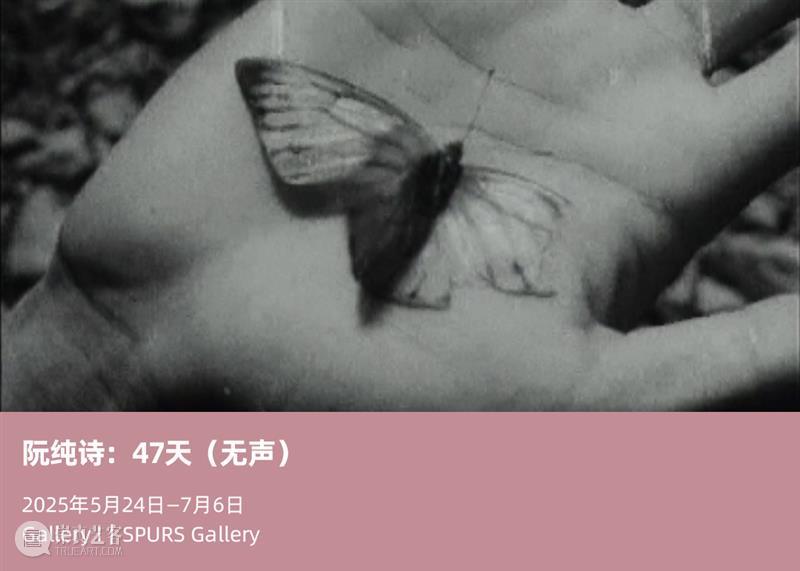 张培力个人项目荣获2025北京当代艺博会最佳展位奖 崇真艺客