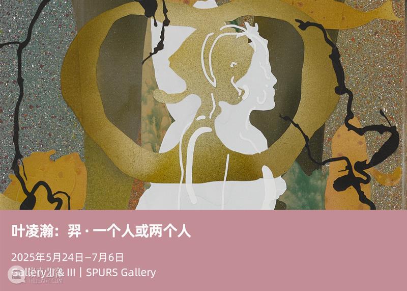 张培力个人项目荣获2025北京当代艺博会最佳展位奖 崇真艺客