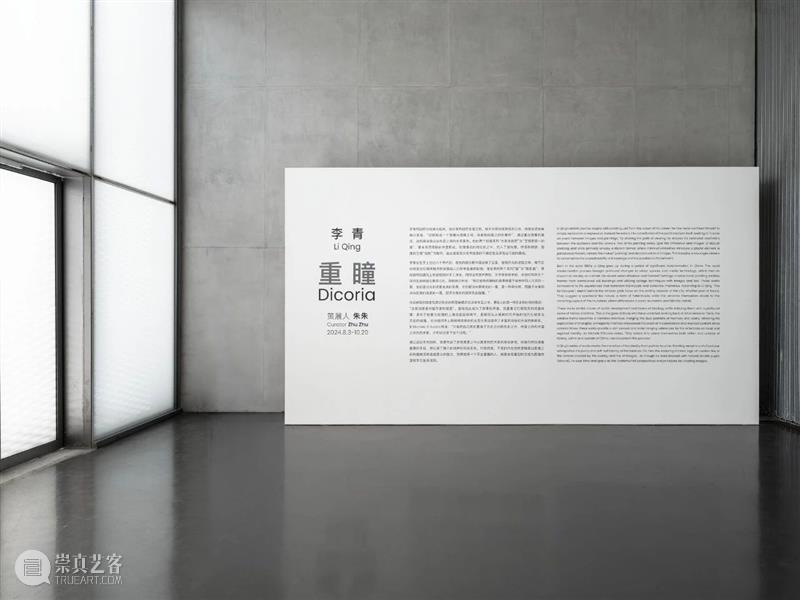 朱朱|李青《重瞳》 崇真艺客