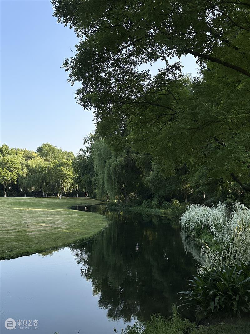 这是现场｜胡沁迪：柳浪闻莺 & 晨间活动   柳浪闻莺 胡沁迪 现场 晨间 活动 杭州西湖东 南岸 清波门外 南宋 时期 崇真艺客