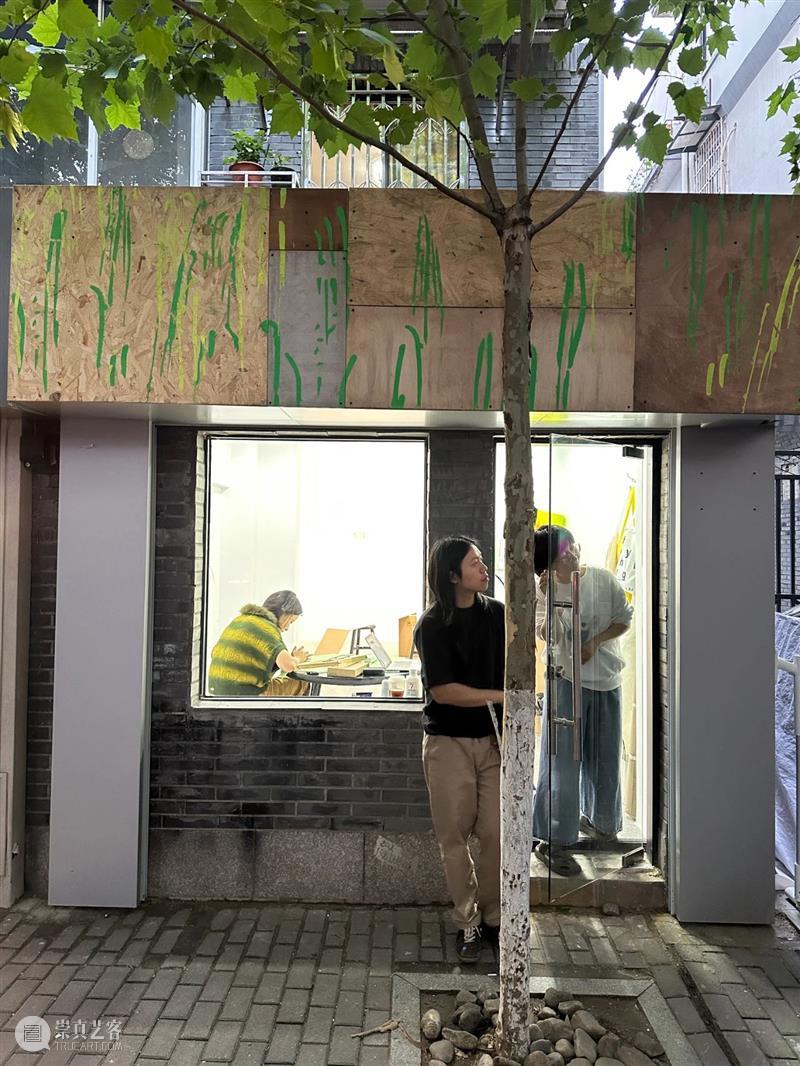 这是现场｜胡沁迪：柳浪闻莺 & 晨间活动   柳浪闻莺 胡沁迪 现场 晨间 活动 杭州西湖东 南岸 清波门外 南宋 时期 崇真艺客