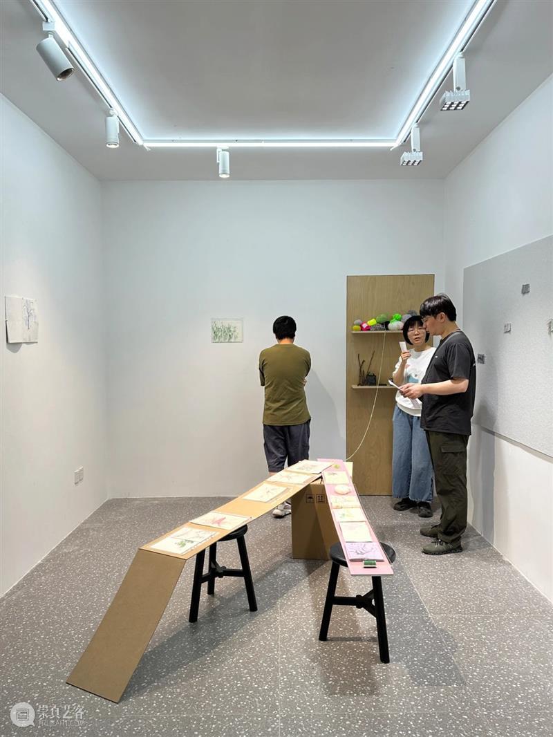 这是现场｜胡沁迪：柳浪闻莺 & 晨间活动   柳浪闻莺 胡沁迪 现场 晨间 活动 杭州西湖东 南岸 清波门外 南宋 时期 崇真艺客
