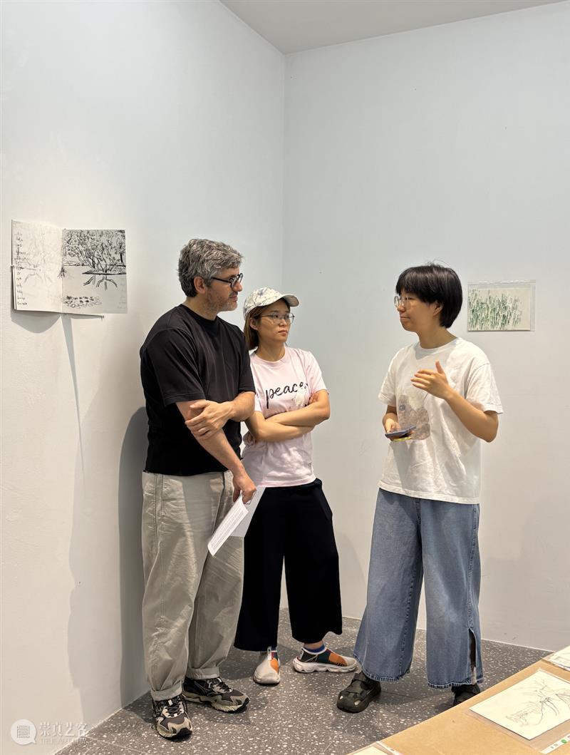 这是现场｜胡沁迪：柳浪闻莺 & 晨间活动   柳浪闻莺 胡沁迪 现场 晨间 活动 杭州西湖东 南岸 清波门外 南宋 时期 崇真艺客