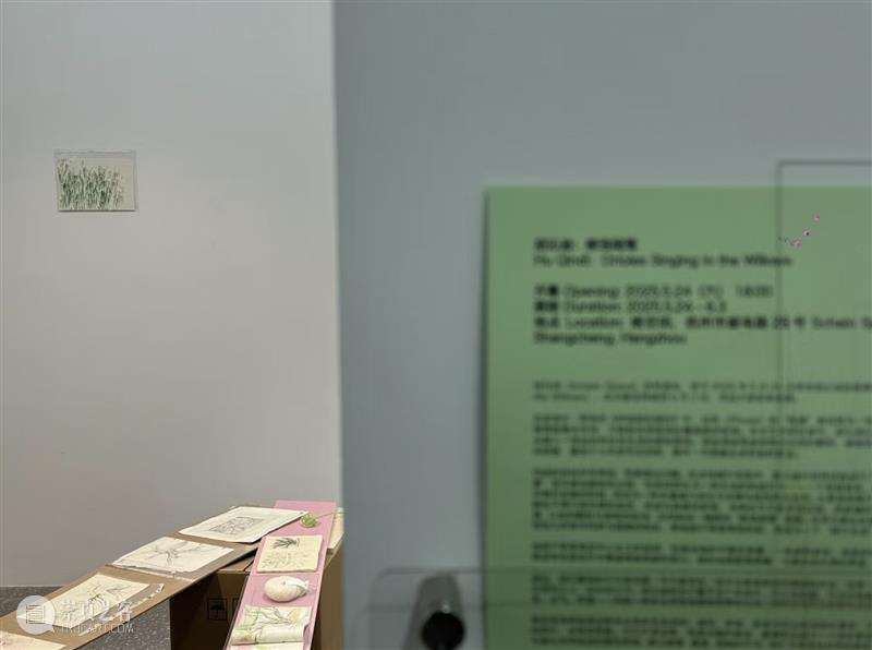 这是现场｜胡沁迪：柳浪闻莺 & 晨间活动   柳浪闻莺 胡沁迪 现场 晨间 活动 杭州西湖东 南岸 清波门外 南宋 时期 崇真艺客