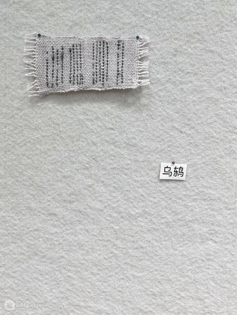 这是现场｜胡沁迪：柳浪闻莺 & 晨间活动   柳浪闻莺 胡沁迪 现场 晨间 活动 杭州西湖东 南岸 清波门外 南宋 时期 崇真艺客