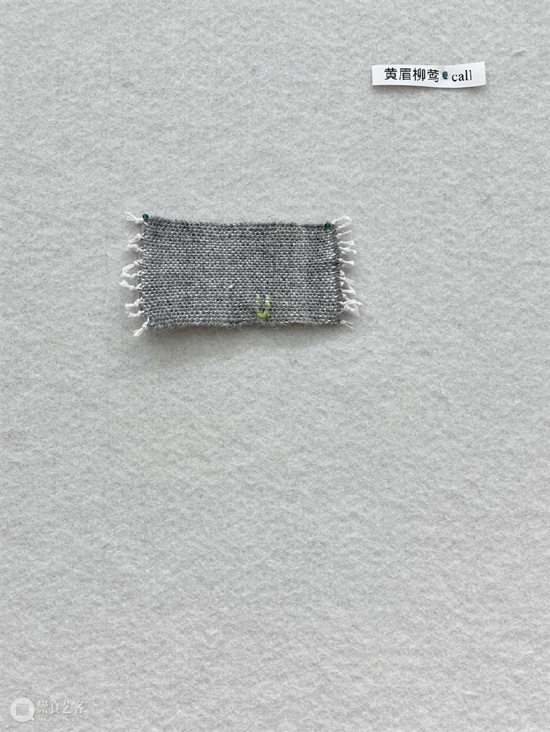 这是现场｜胡沁迪：柳浪闻莺 & 晨间活动   柳浪闻莺 胡沁迪 现场 晨间 活动 杭州西湖东 南岸 清波门外 南宋 时期 崇真艺客