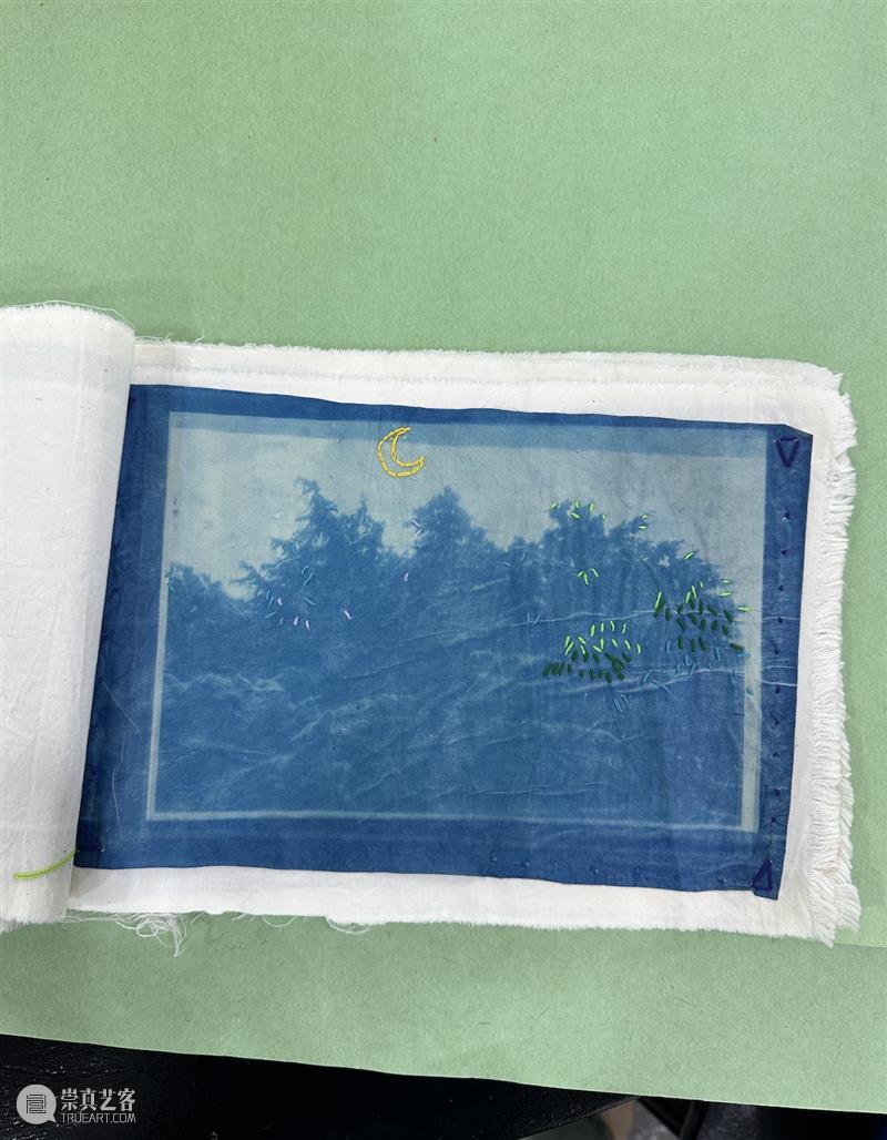 这是现场｜胡沁迪：柳浪闻莺 & 晨间活动   柳浪闻莺 胡沁迪 现场 晨间 活动 杭州西湖东 南岸 清波门外 南宋 时期 崇真艺客