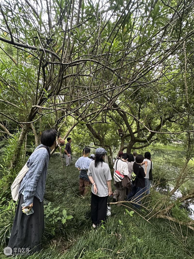这是现场｜胡沁迪：柳浪闻莺 & 晨间活动   柳浪闻莺 胡沁迪 现场 晨间 活动 杭州西湖东 南岸 清波门外 南宋 时期 崇真艺客