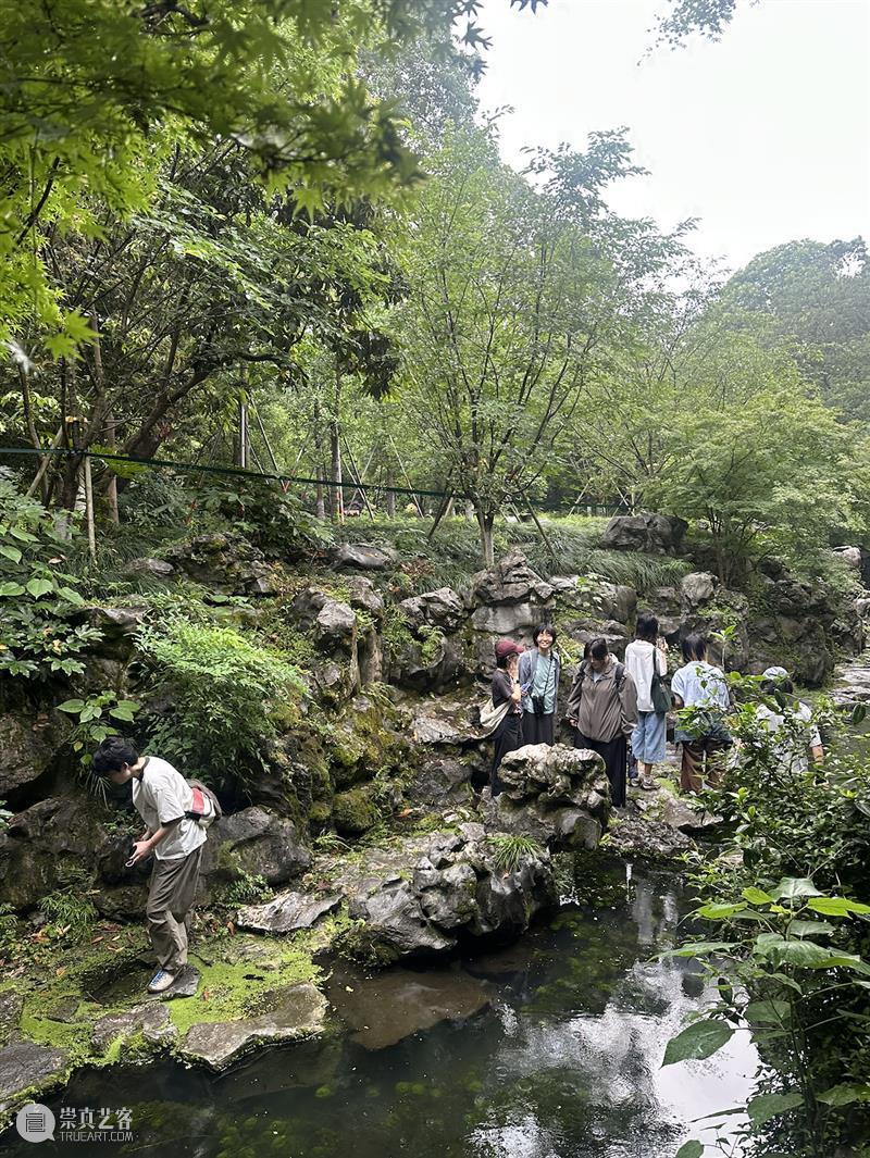 这是现场｜胡沁迪：柳浪闻莺 & 晨间活动   柳浪闻莺 胡沁迪 现场 晨间 活动 杭州西湖东 南岸 清波门外 南宋 时期 崇真艺客