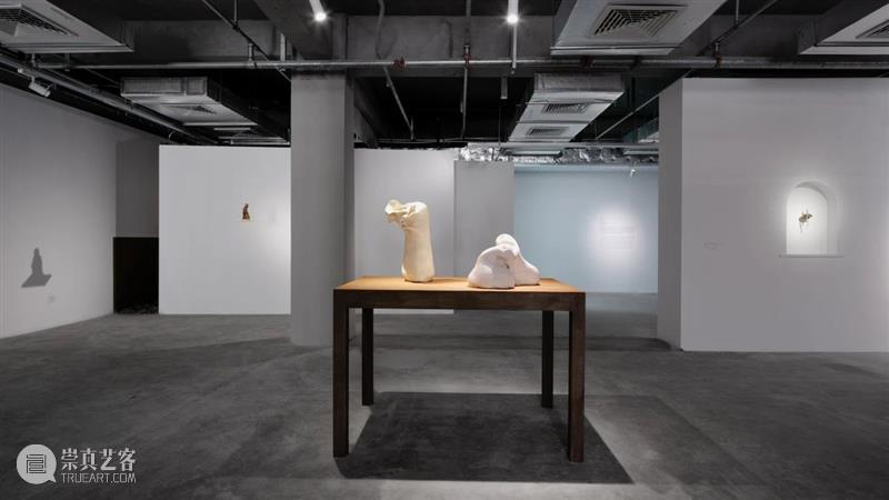 “胞间连丝”展览现场 | 香格纳西岸中环 崇真艺客