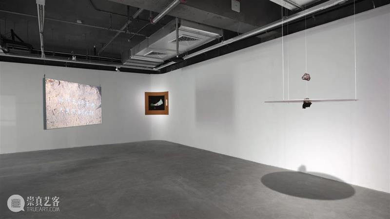 “胞间连丝”展览现场 | 香格纳西岸中环 崇真艺客