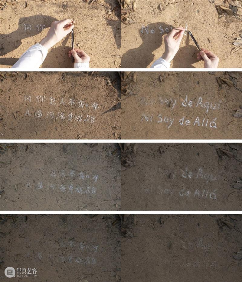 “胞间连丝”展览现场 | 香格纳西岸中环 崇真艺客
