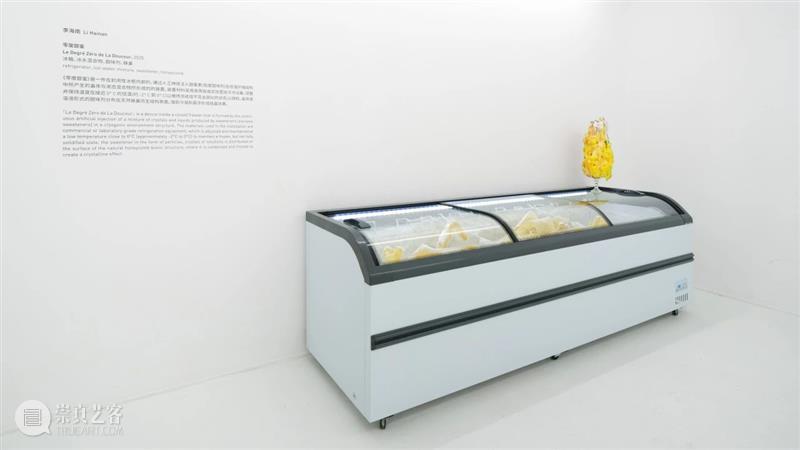 “胞间连丝”展览现场 | 香格纳西岸中环 崇真艺客