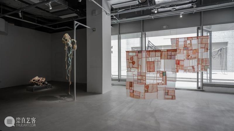 “胞间连丝”展览现场 | 香格纳西岸中环 崇真艺客