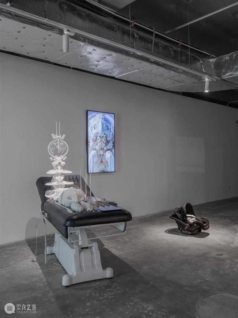 “胞间连丝”展览现场 | 香格纳西岸中环 崇真艺客