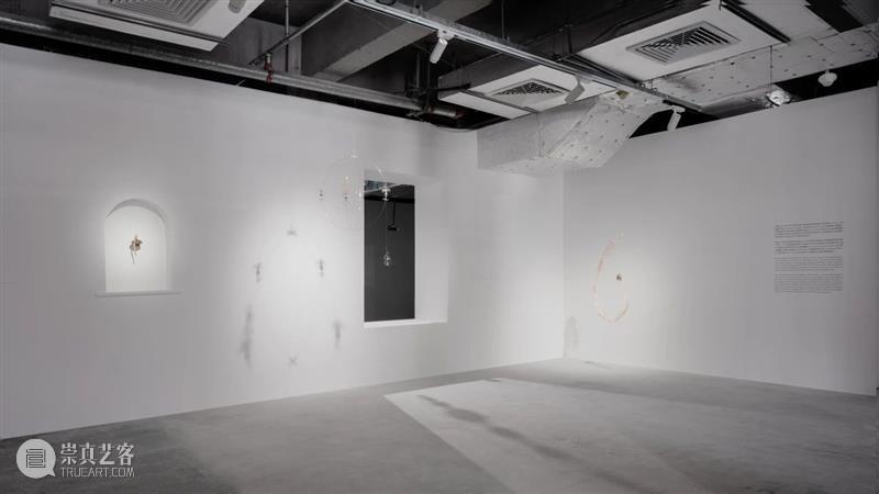 “胞间连丝”展览现场 | 香格纳西岸中环 崇真艺客