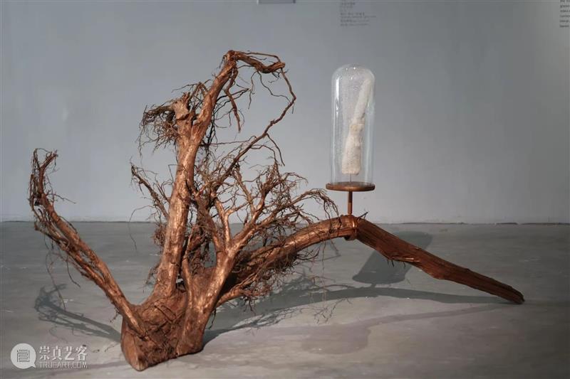 “胞间连丝”展览现场 | 香格纳西岸中环 崇真艺客