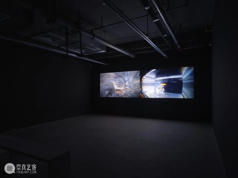 “胞间连丝”展览现场 | 香格纳西岸中环 崇真艺客