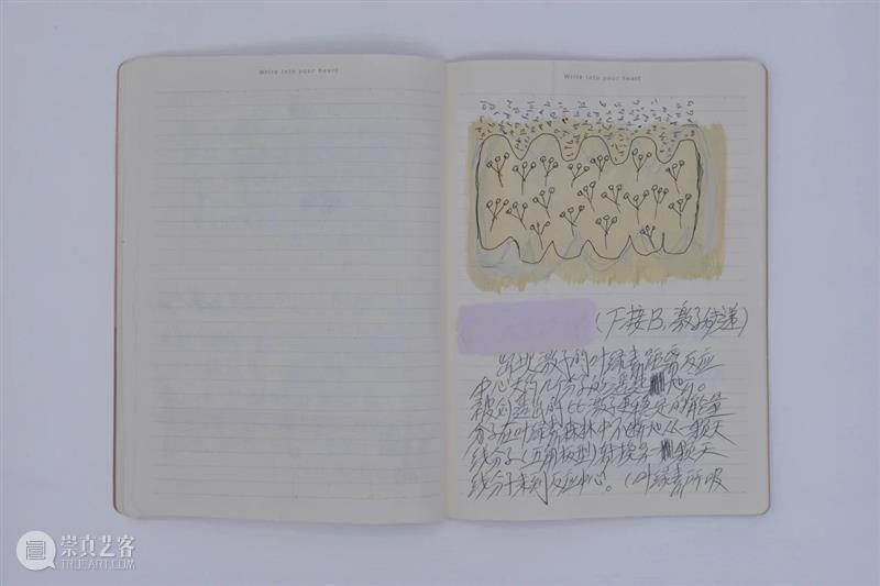 “胞间连丝”展览现场 | 香格纳西岸中环 崇真艺客