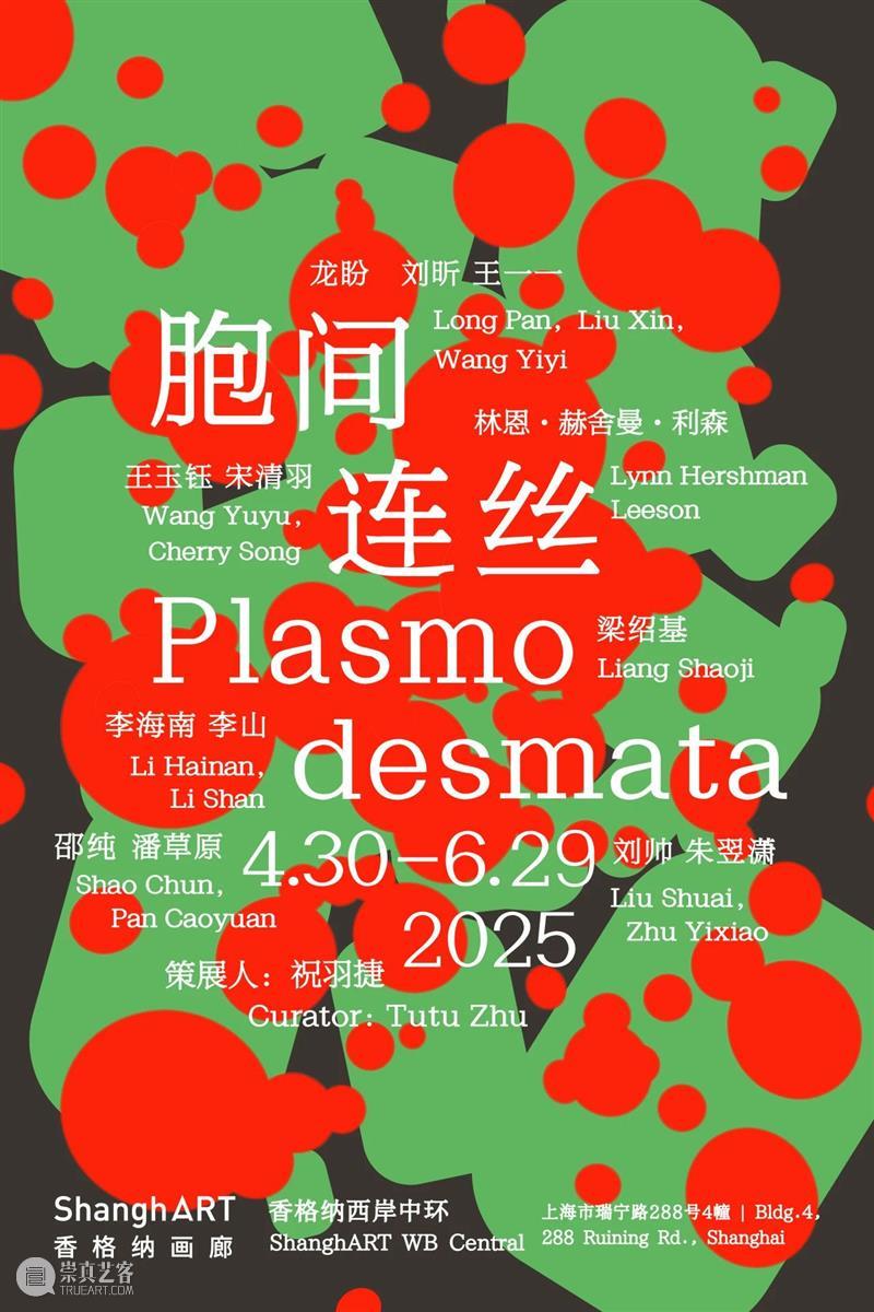 “胞间连丝”展览现场 | 香格纳西岸中环 崇真艺客