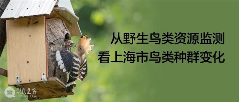震旦美术馆 |【 A2M 】六月活动预告 崇真艺客