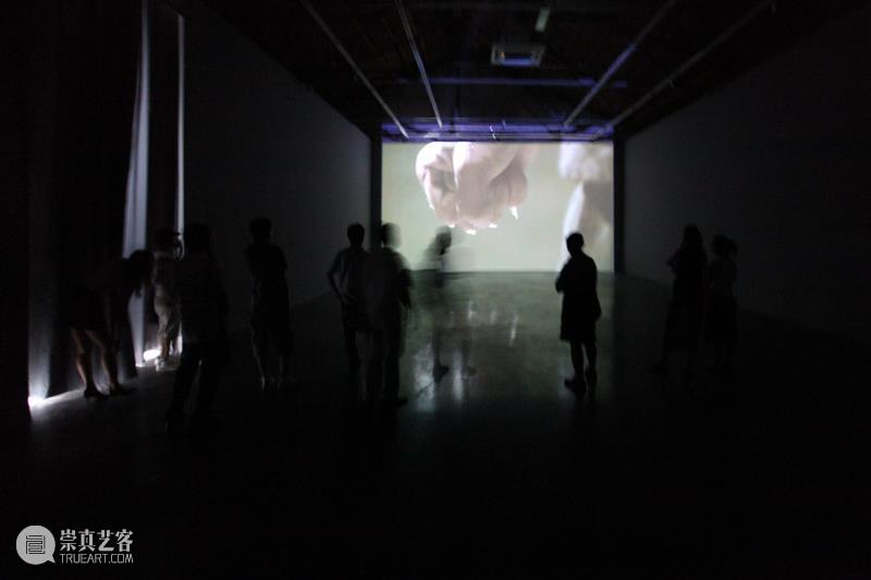 公社20|政纯办:豆腐、功夫、Polit-Sheer-Form|2009 崇真艺客