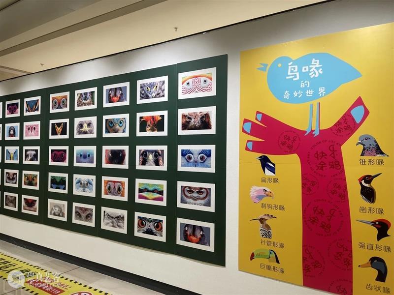 新展预告丨四季交响曲——第四届新疆少儿美术作品展 崇真艺客